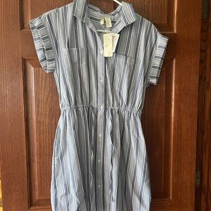 Japna blue striped dress